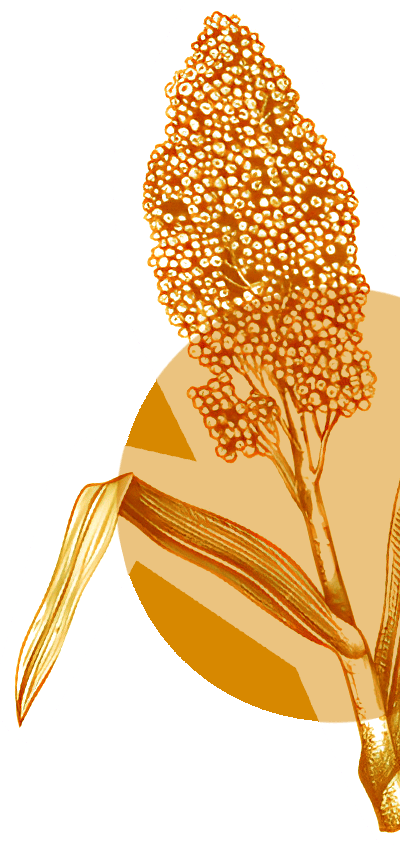 Decorative millet