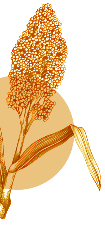 Millet Image Left