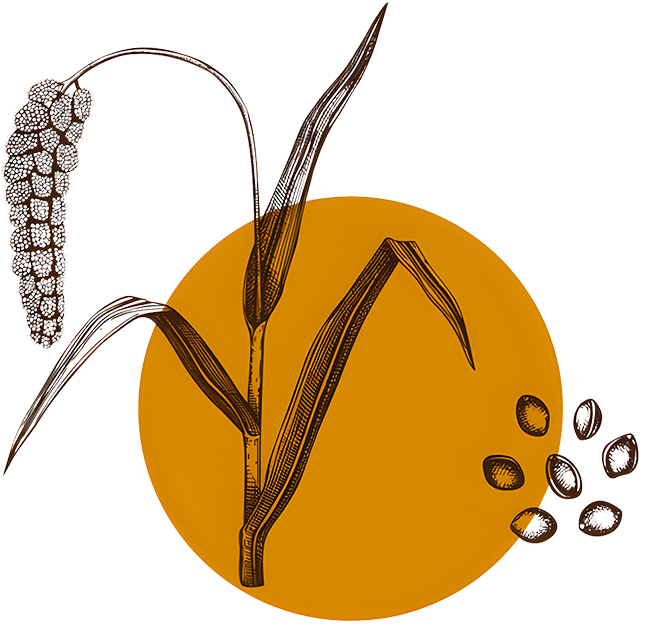 Millet Illustration Left