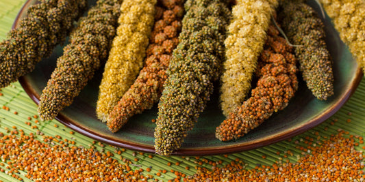 Discover the Power of Healthiest Millets: A Guide to Nature’s Power-Packed Grains